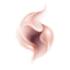 Kiramora